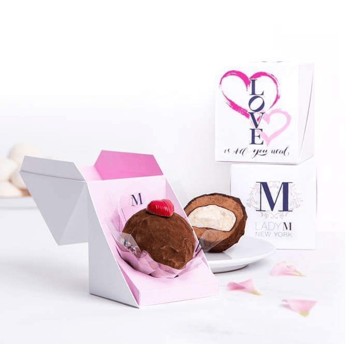 Screen Shot 2017-11-22 at 2.03.10 AM.png